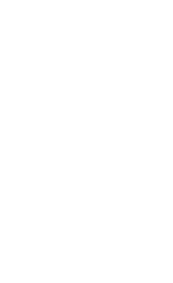 Peter Budavari Logo (Home)
